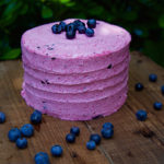 blueberries.pinkcake3